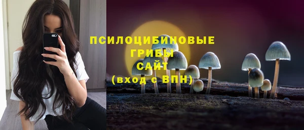 МДПВ Арсеньев